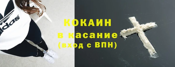 PSILOCYBIN Богородицк