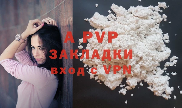 PSILOCYBIN Богородицк