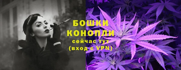 PSILOCYBIN Богородицк