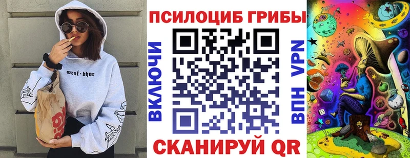 сколько стоит  Минеральные Воды  дарк нет клад  Псилоцибиновые грибы Cubensis 